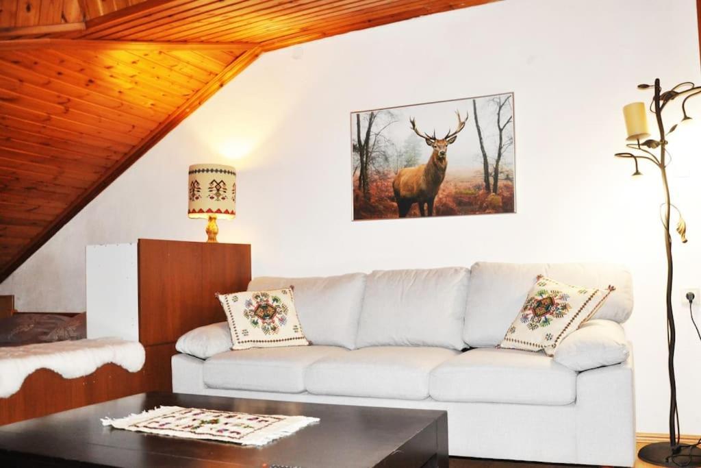 Cozy Loft With Fireplace & View Métsovo Eksteriør bilde